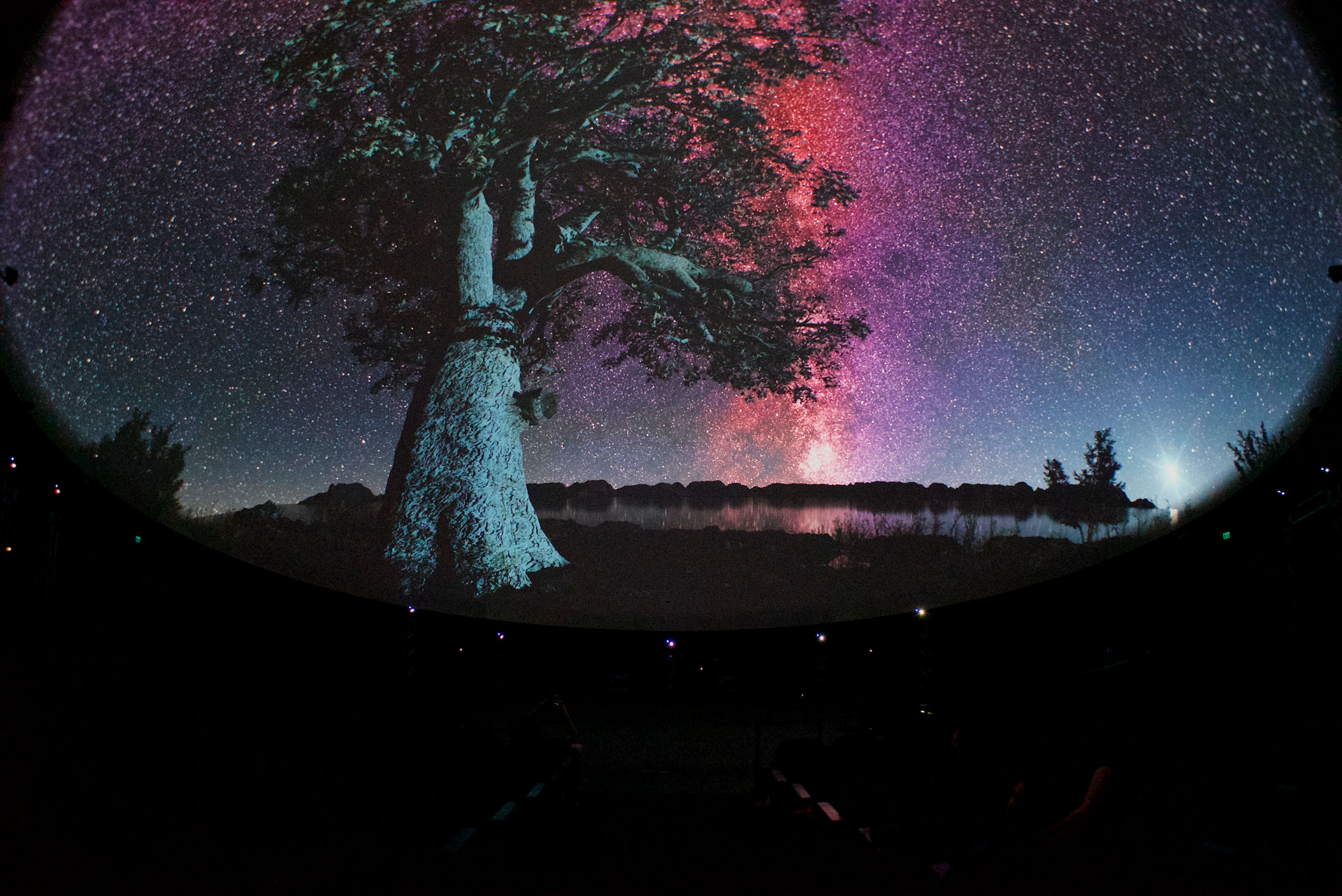 Seattle International Film Festival Dome Projection - Omnispace VR Fulldome